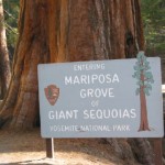 mariposa mariposa
