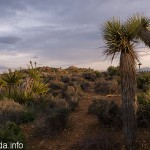 P1070358