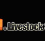 Das Houston Livestock Show and Rodeo in Texas