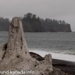Forks-Umgebung-9121744