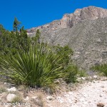 Der Carlsbad-Caverns-Nationalpark in New Mexico, USA