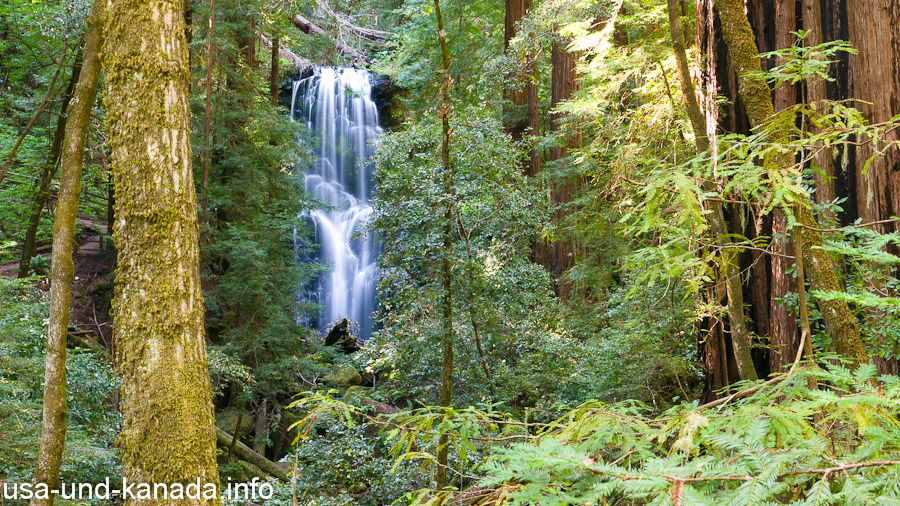 Redwood National Park – das Wanderparadies an der Pazifikküste