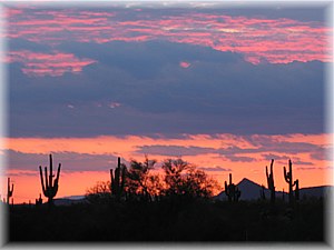 Ferienhaus in Arizona in Scottsdale (Phoenix) zu vermieten – Leider nicht mehr verfügbar!