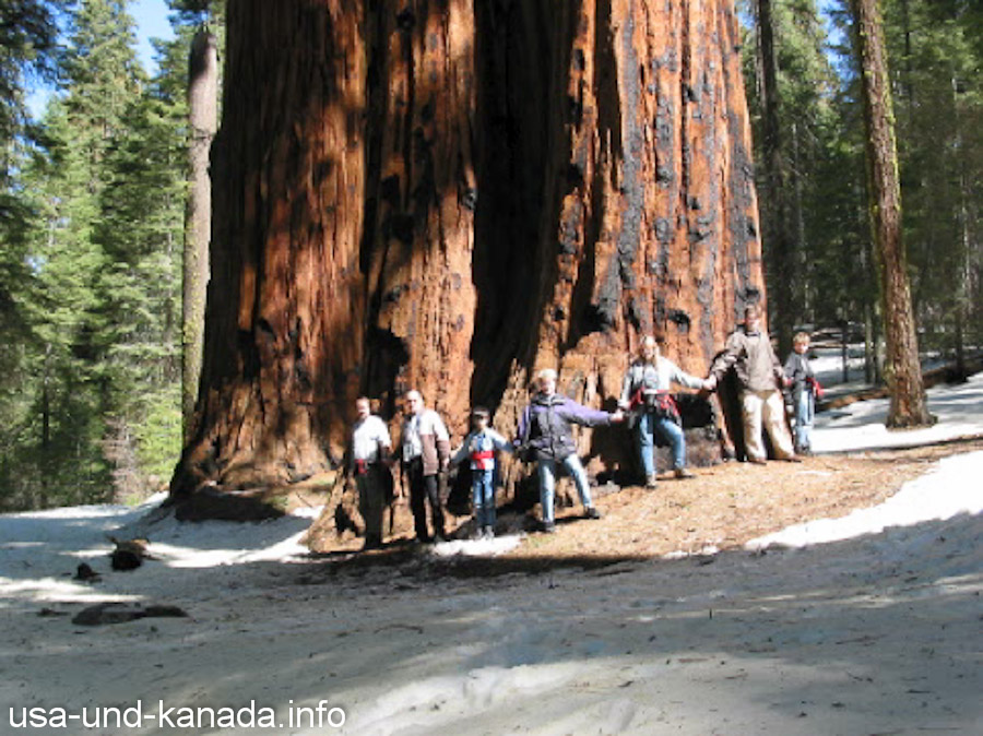 Bilder: Sequoia & Kings Canyon National Parks