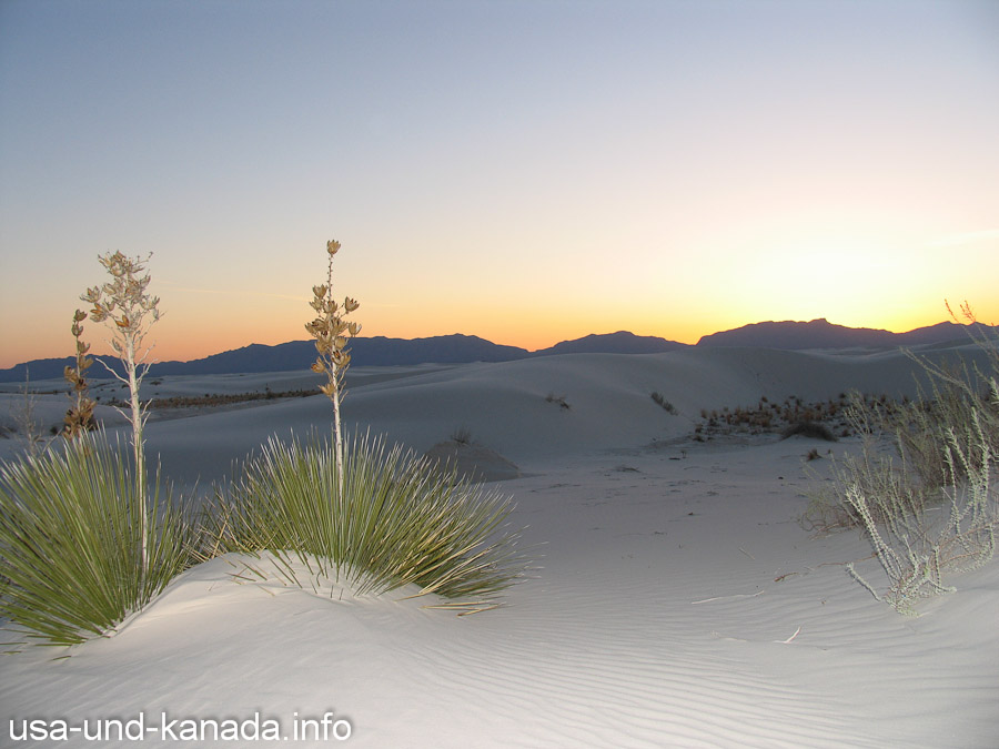 Bilder: White Sands National Monument – New Mexico – USA