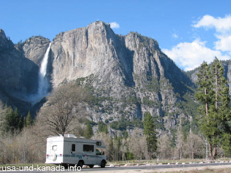Schwarzbären im kalifornischen Yosemite Nationalpark bevorzugen Minivans