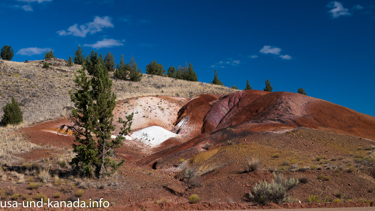 John Day Fossil Beds National Monument – Drei Mal Natur in Oregon