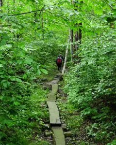 Der Baxter State Park in Maine