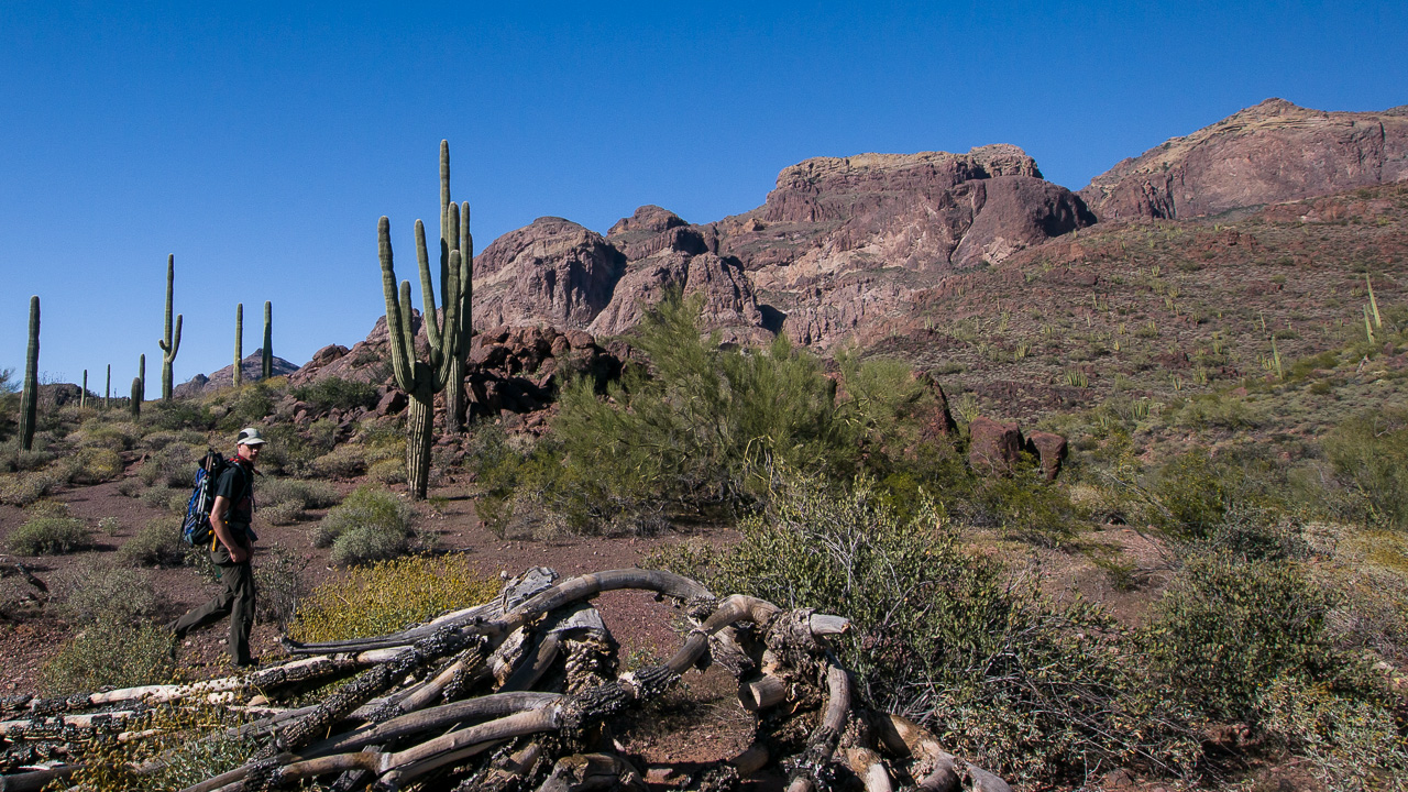 Der Arizona Trail – einmal zu Fuß durch Arizona wandern